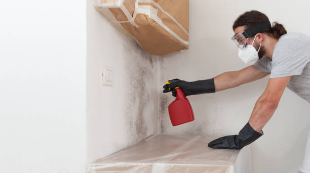 Professional Basement Mold Remediation technician working in Avondale Estates, GA